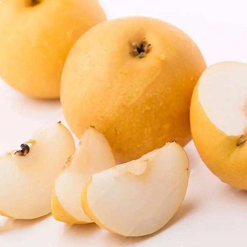 Yellow Chinese Pear Tree Seeds | Sweet Bonsai Fruit Tree