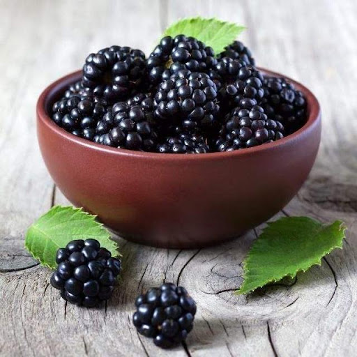 Sweet Giant Blackberry Seeds | Thornless Hybrid Variety
