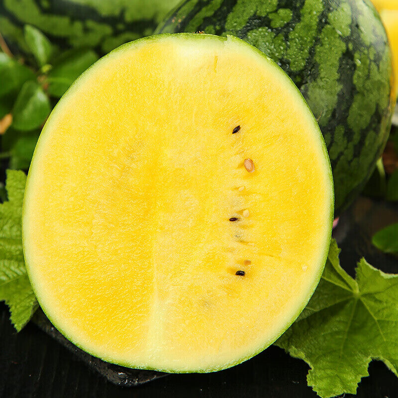 Yellow Petite Watermelon Seeds | Sweet Compact Variety