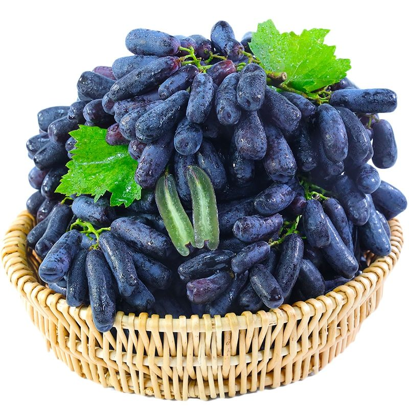 Sweet Sapphire Grape Seeds | Unique Finger-like Variety