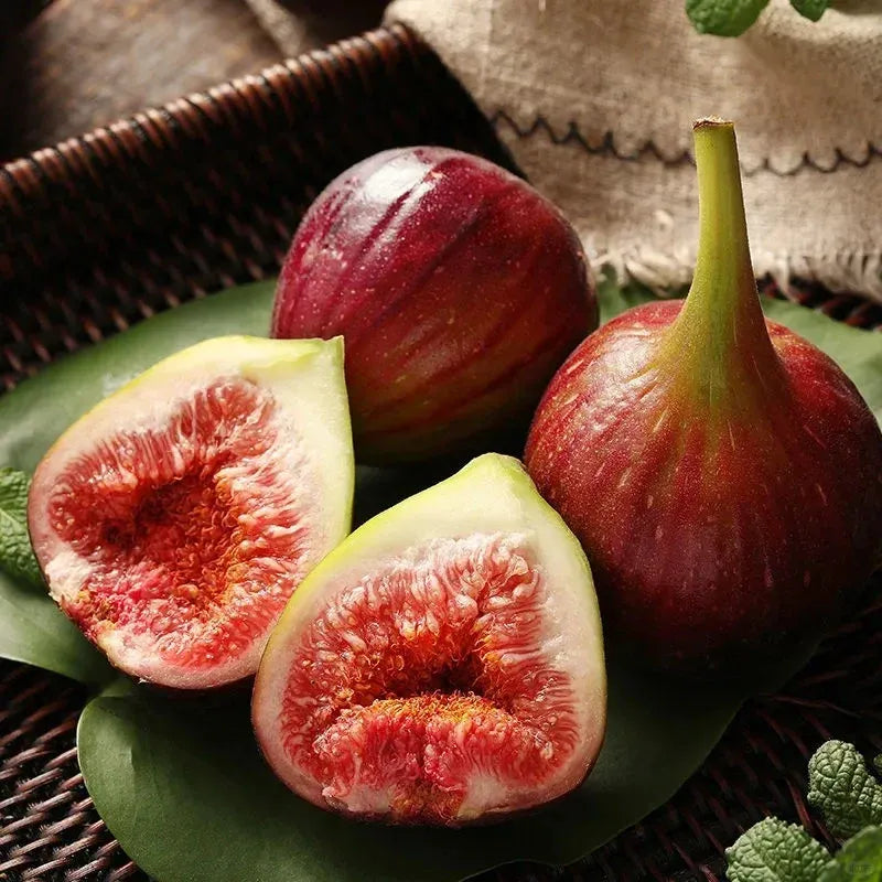 Peach Fig Seeds | Super Giant Cold-Hardy Fig Tree