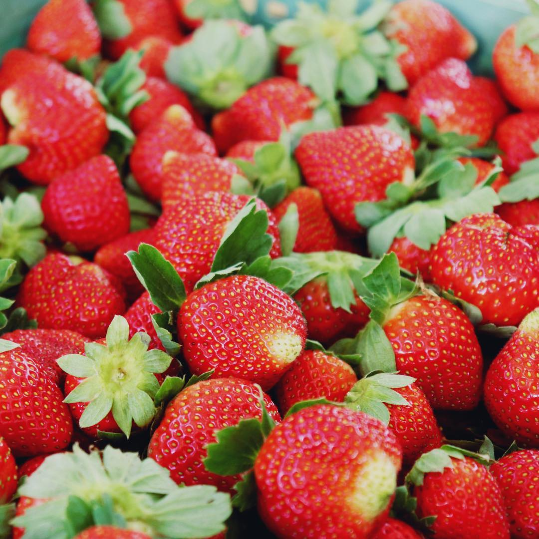 Cream Giant Strawberry Seeds | Large Juicy Variety