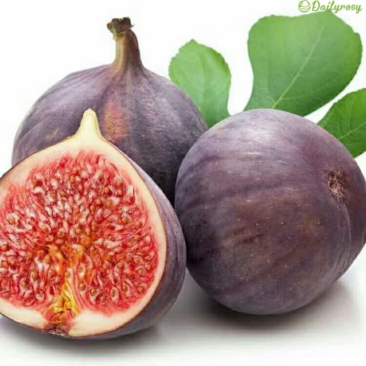 Peach Fig Seeds | Super Giant Cold-Hardy Fig Tree