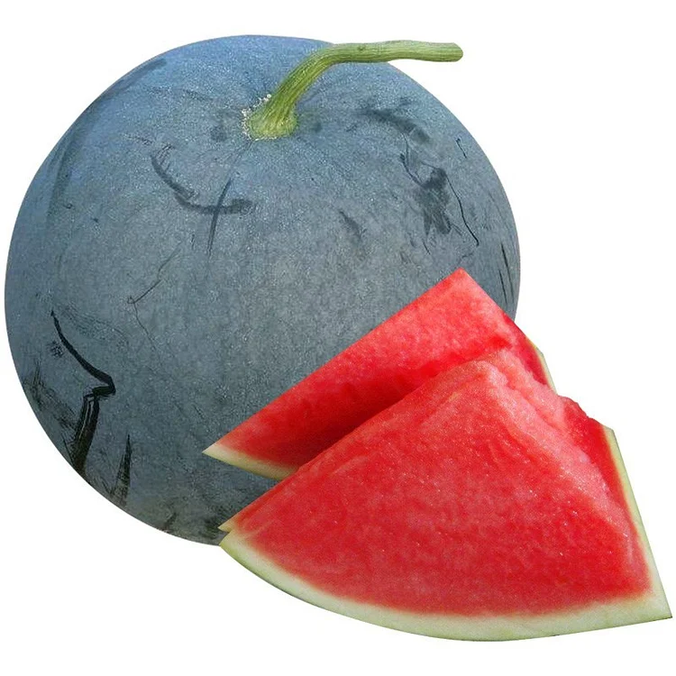 Black Diamond Watermelon Seeds | Giant Seedless Variety