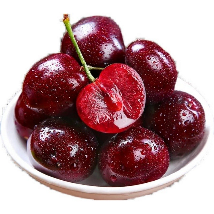 Sweet Cherry Fruit Seeds | Perennial Fruit Tree