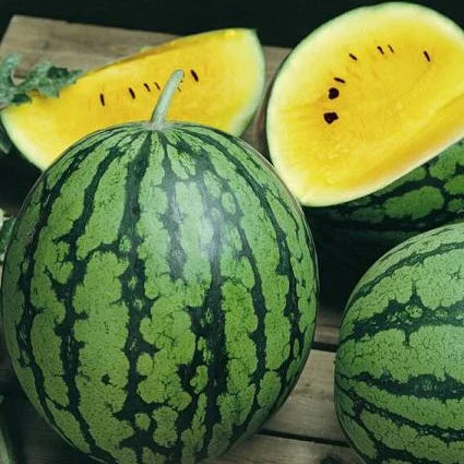 Yellow Petite Watermelon Seeds | Sweet Compact Variety