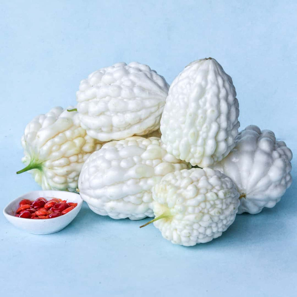 Apple Bitter Melon Seeds | Heirloom Bitter Gourd