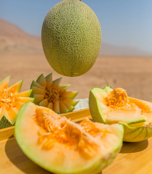 Reticulated Cantaloupe Seeds | Sweet Layered-Flavor Melon