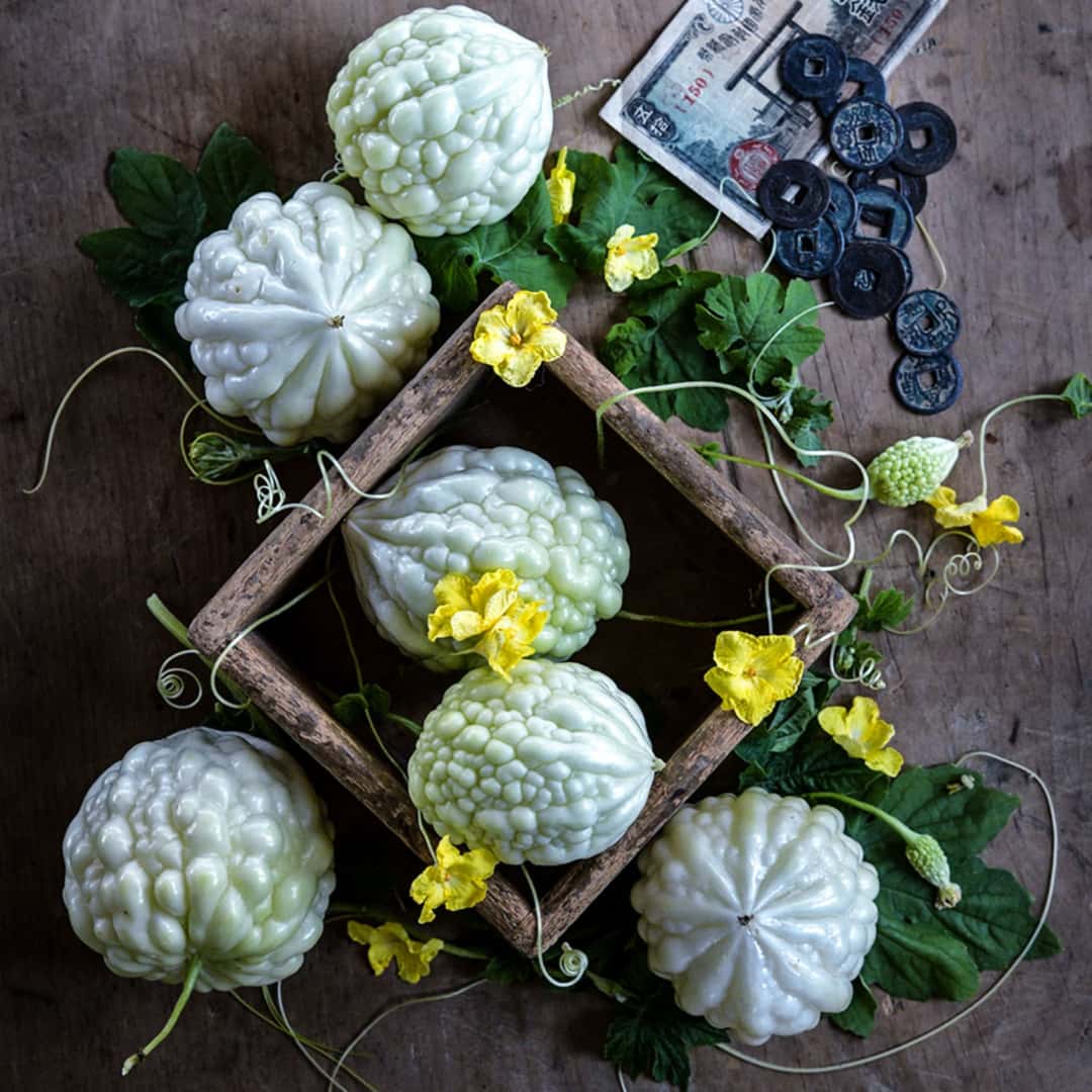 Apple Bitter Melon Seeds | Heirloom Bitter Gourd