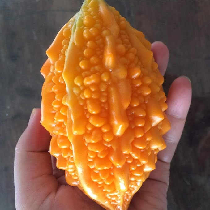 Lai Grape Bitter Gourd Seeds | Ornamental Edible Variety