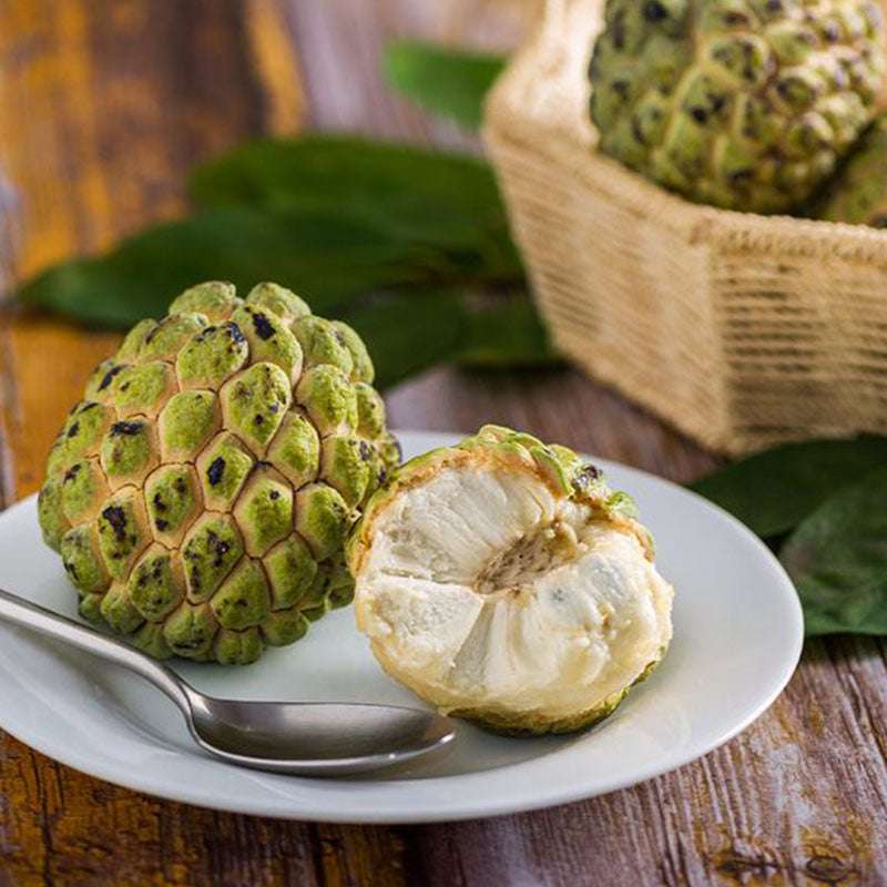 Custard Apple Seeds | Annona Squamosa Sugar Apple
