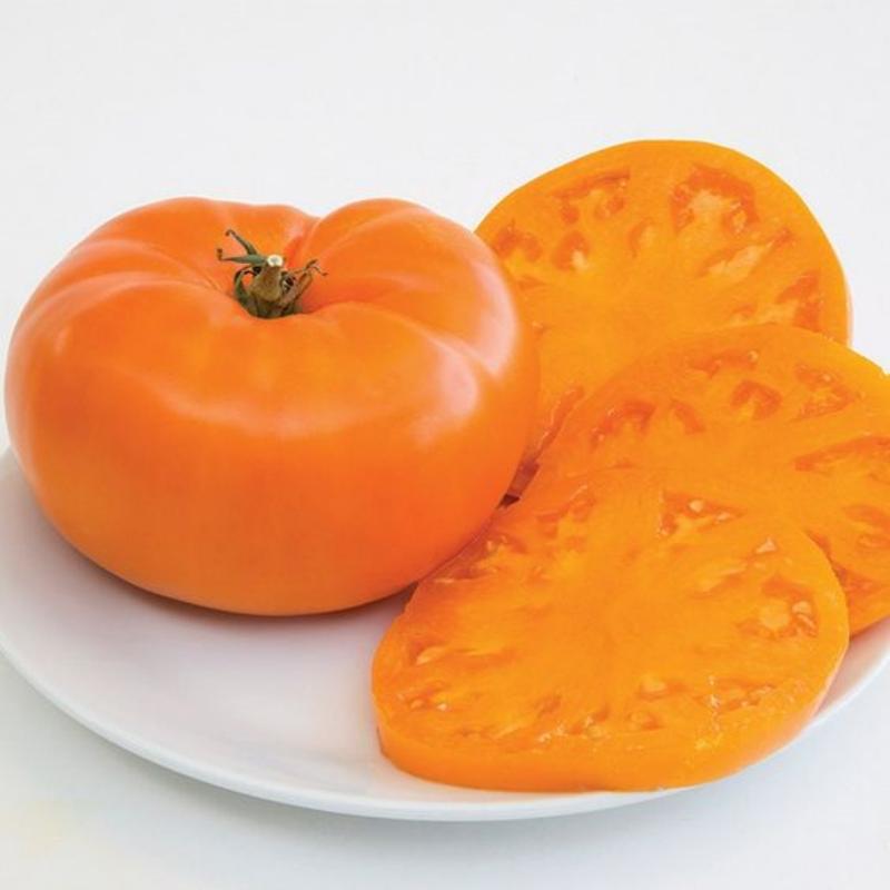 Amana Orange Heirloom Tomato Seeds | Giant Beefsteak Variety