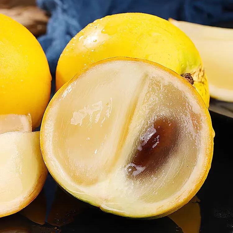 Golden Abiu Fruit Seeds | Tropical Caramel-Flavored Treasure