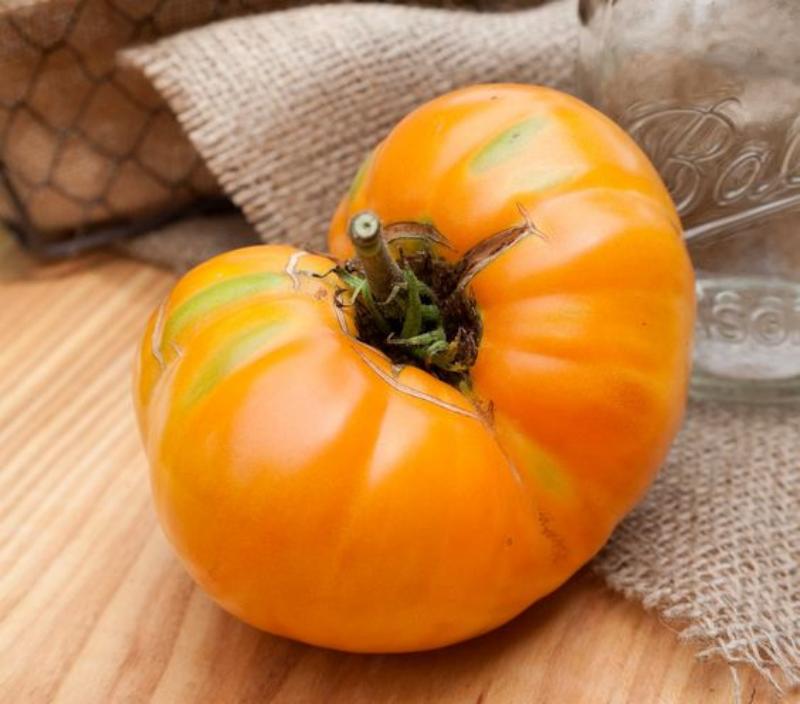 Amana Orange Heirloom Tomato Seeds | Giant Beefsteak Variety
