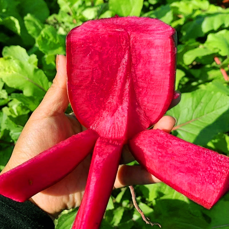 Pineapple Fruit Radish Seeds | Sweet Purple Variety