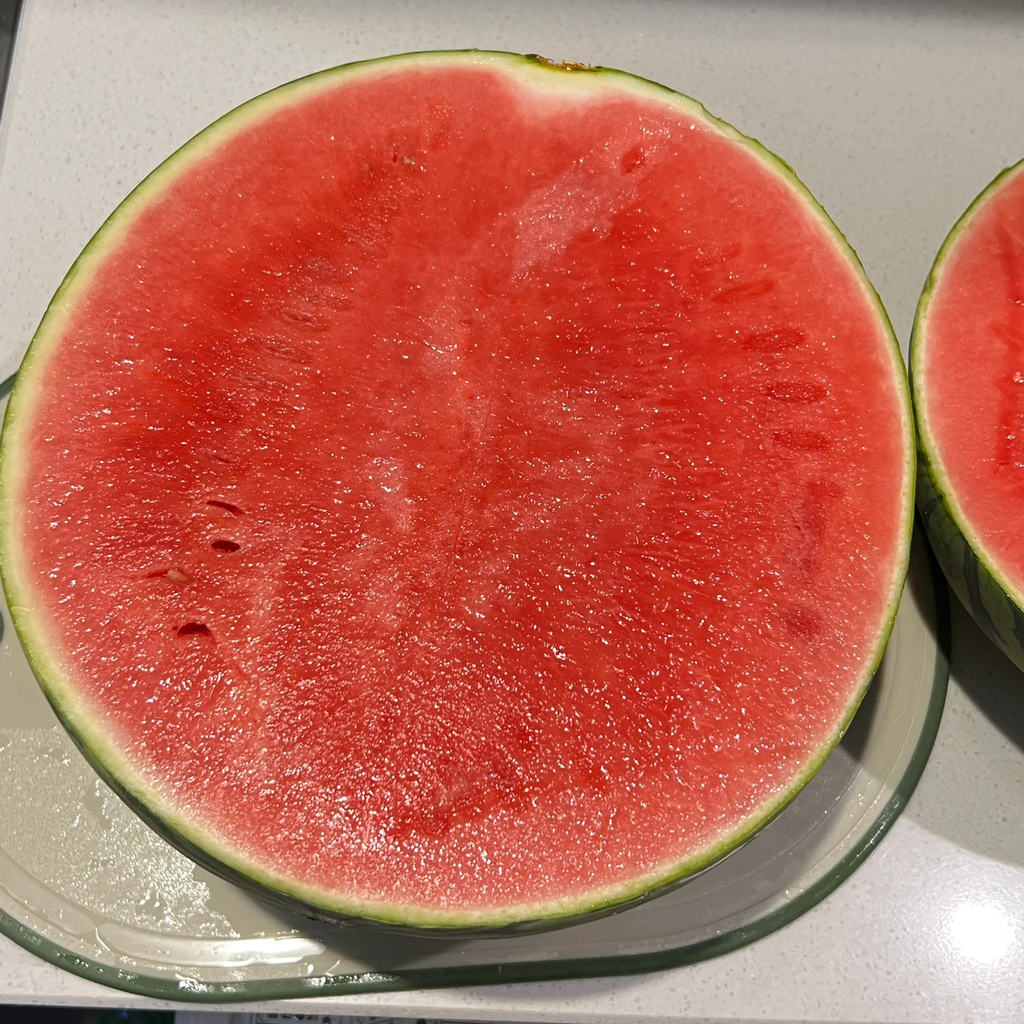 Ruby Watermelon Seeds | Ultra-Sweet Thin-Skinned Variety