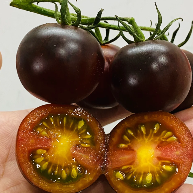 Rare Black Tomato Seeds | Nutrient-Rich Heirloom Variety