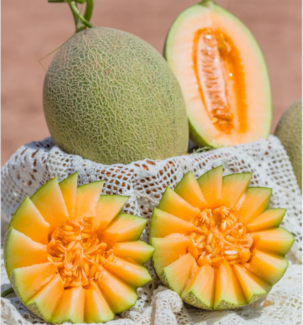Reticulated Cantaloupe Seeds | Sweet Layered-Flavor Melon