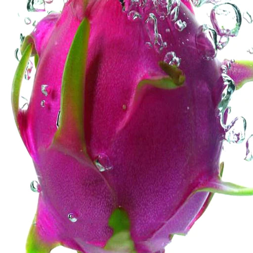 Red Pitaya Seeds | Dragon Fruit Bonsai Seeds