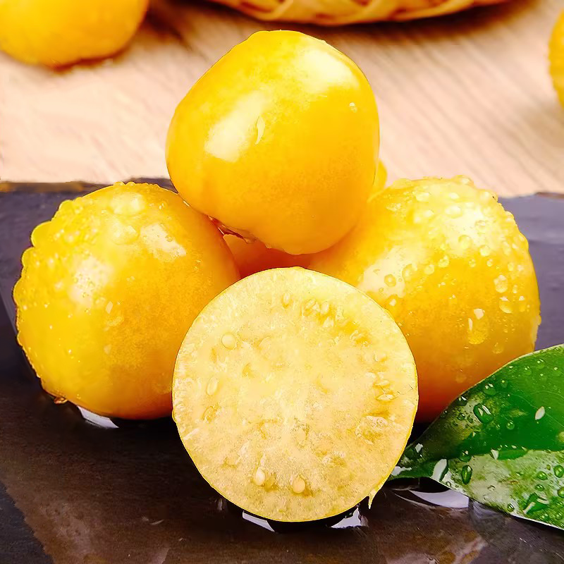 Super Verde Tomatillo Seeds | Prolific Salsa Verde Variety