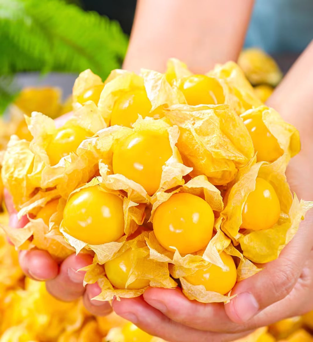 Super Verde Tomatillo Seeds | Prolific Salsa Verde Variety