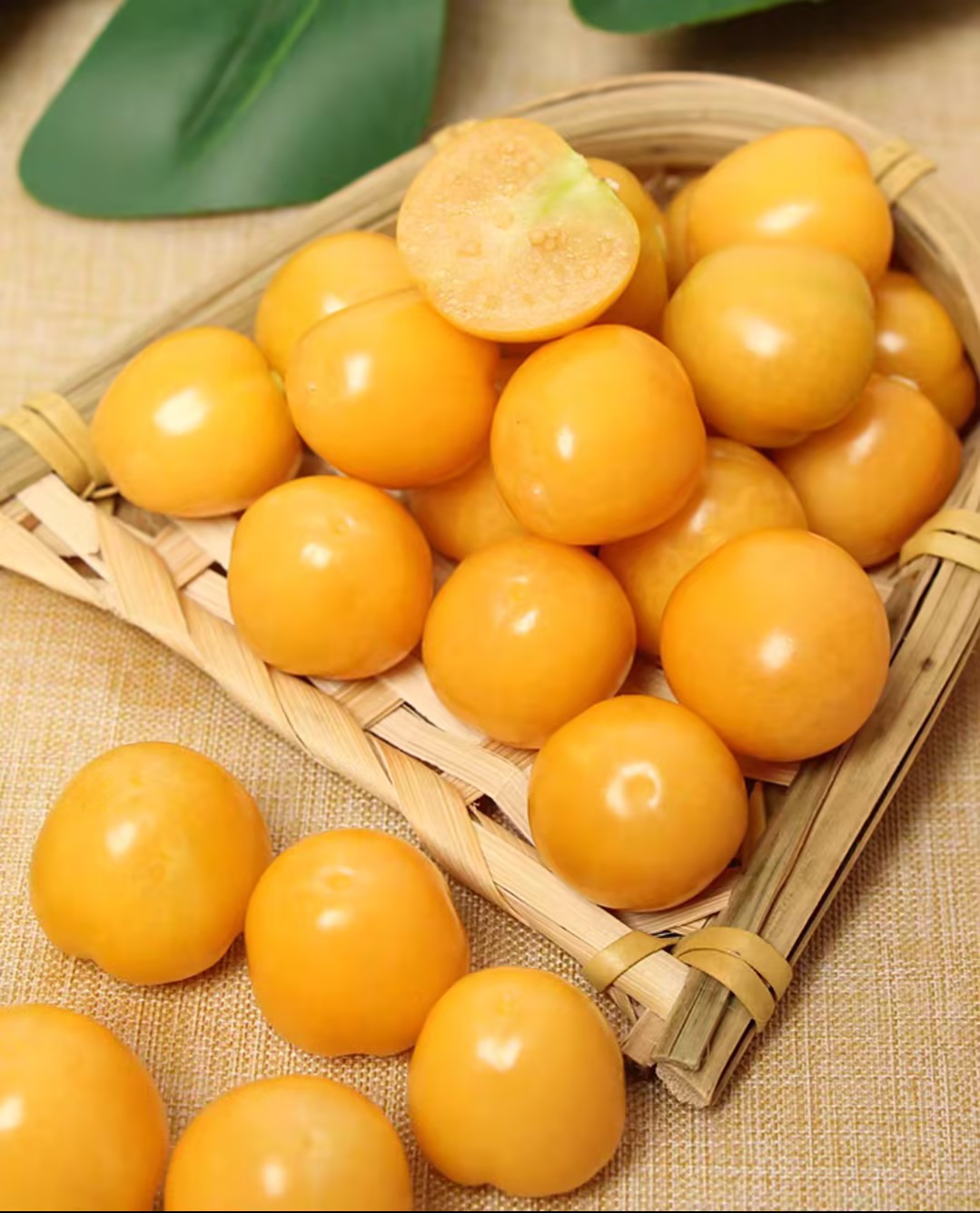 Super Verde Tomatillo Seeds | Prolific Salsa Verde Variety