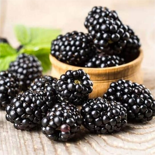 Sweet Giant Blackberry Seeds | Thornless Hybrid Variety