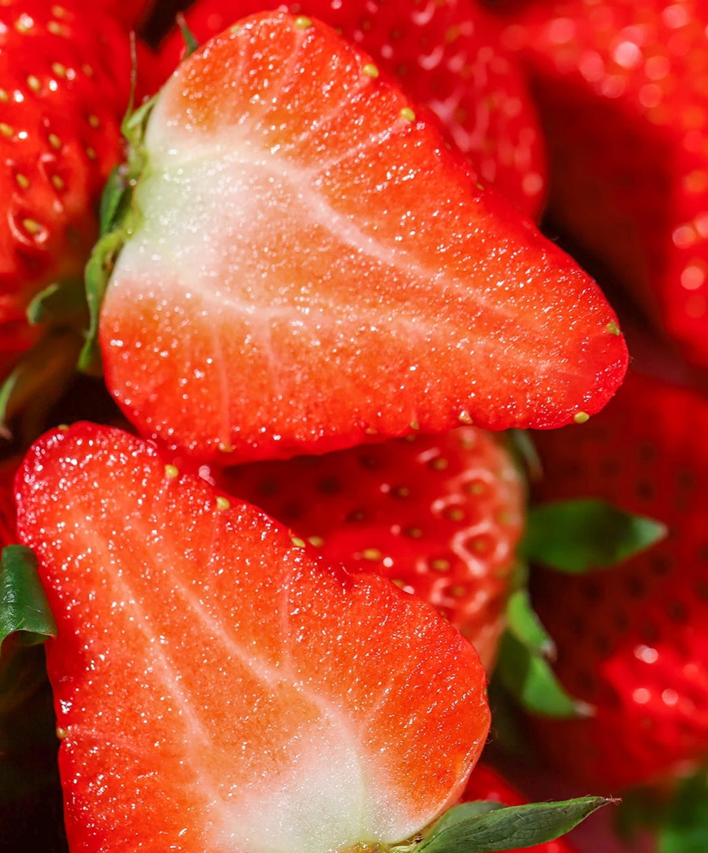 Cream Strawberry Seeds | Sweet Perennial Garden Favorites