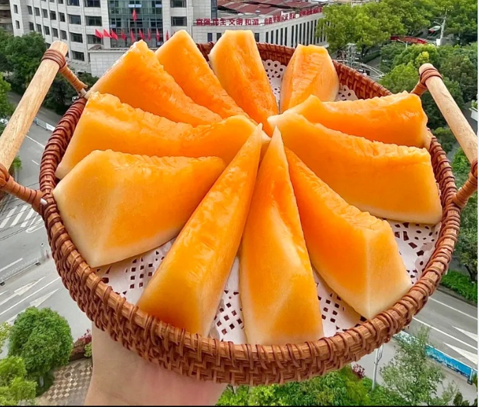 Reticulated Cantaloupe Seeds | Sweet Layered-Flavor Melon
