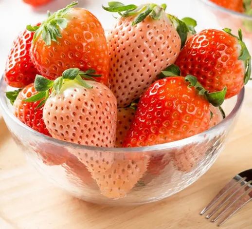 Cream Giant Strawberry Seeds | Large Juicy Variety