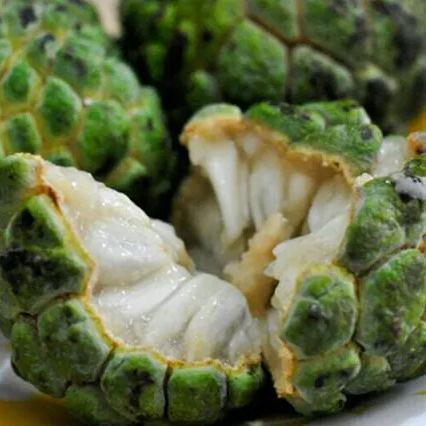 Custard Apple Seeds | Annona Squamosa Sugar Apple