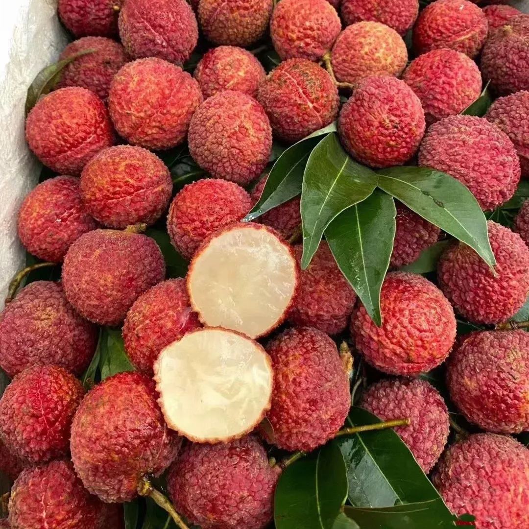 Seedless Lychee Seeds | Rare Easy-Peel Variety