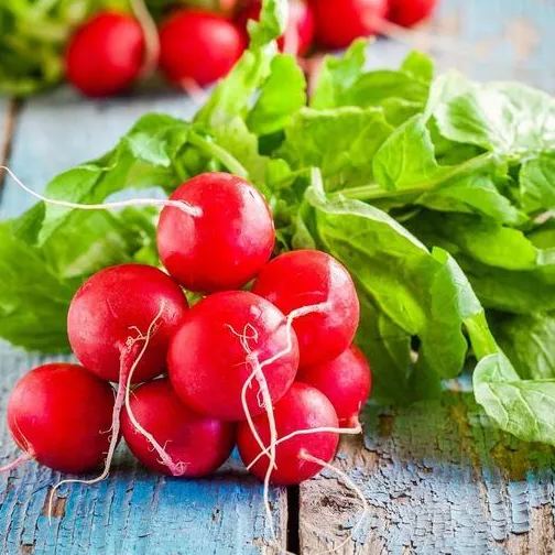 Cherry Belle Radish Seeds | Quick-Growing Crispy Variety