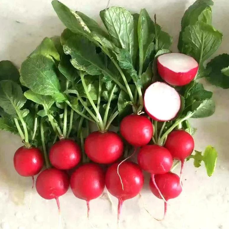 Cherry Belle Radish Seeds | Quick-Growing Crispy Variety