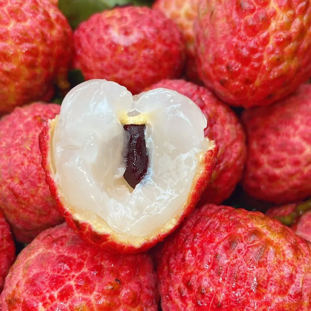 Fragrant Lychee Seeds | Cold-Tolerant Sweet Variety