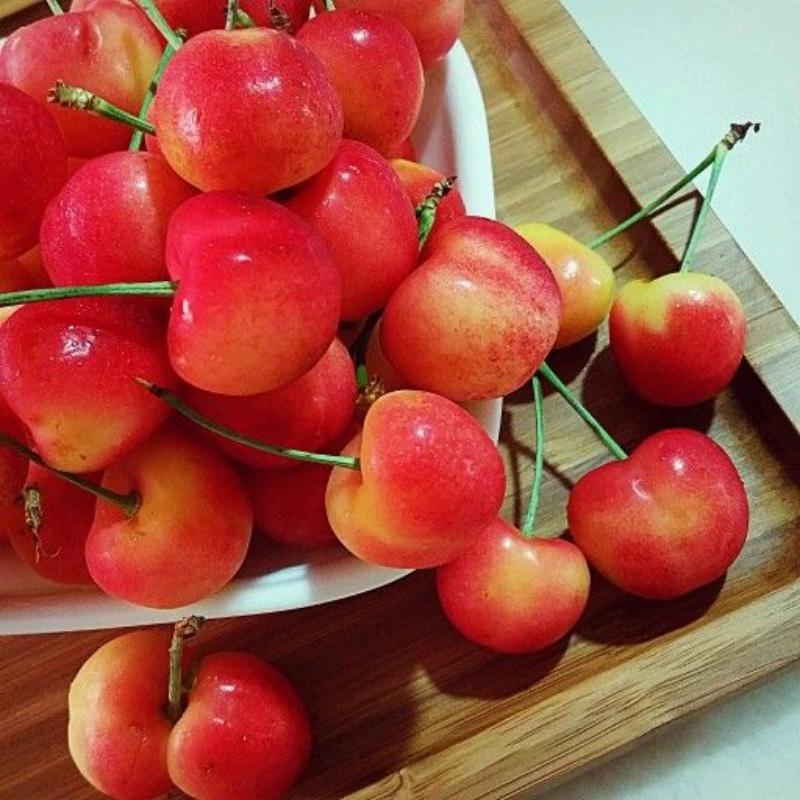 Rainier Cherry Seeds | Premium Sweet Cherry Variety